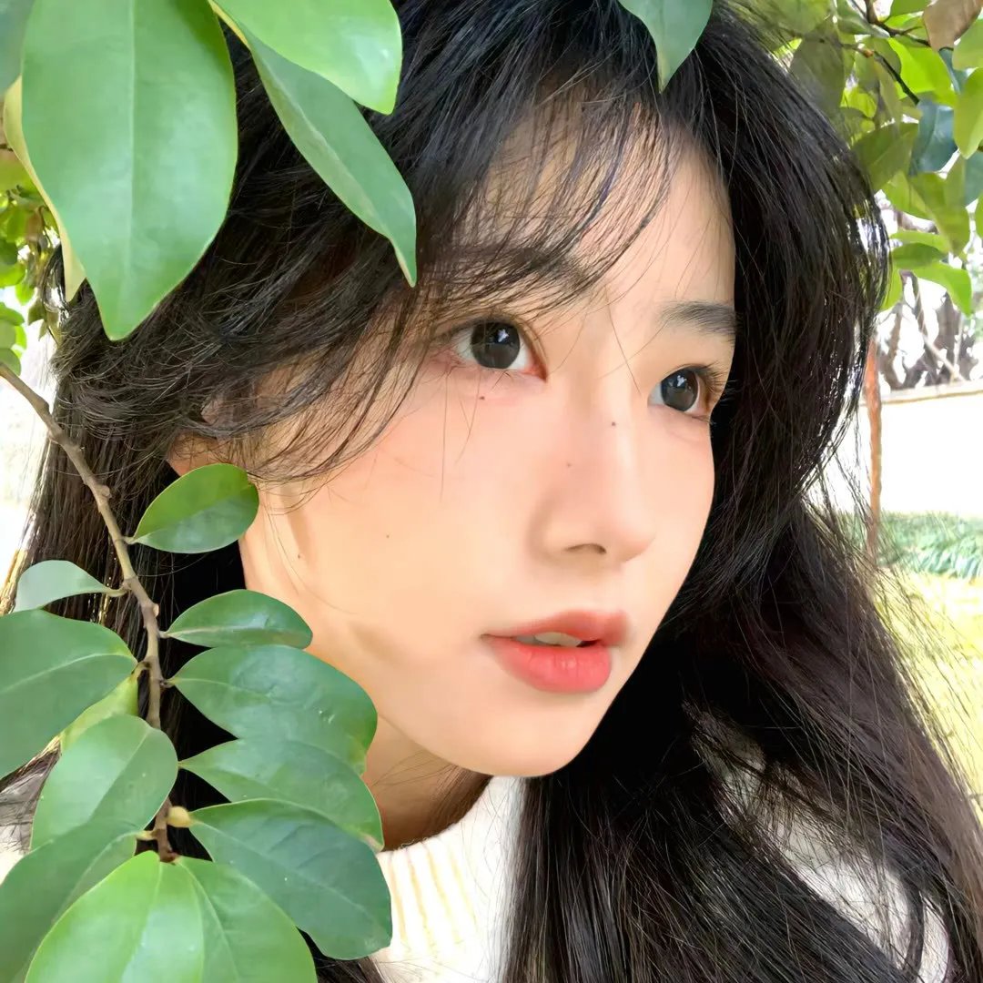 破碎的王冠